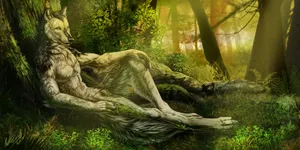 Gallery thumbnail
