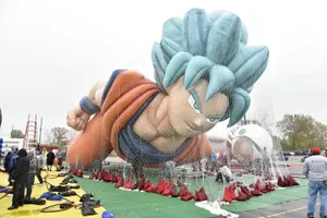 Gallery thumbnail